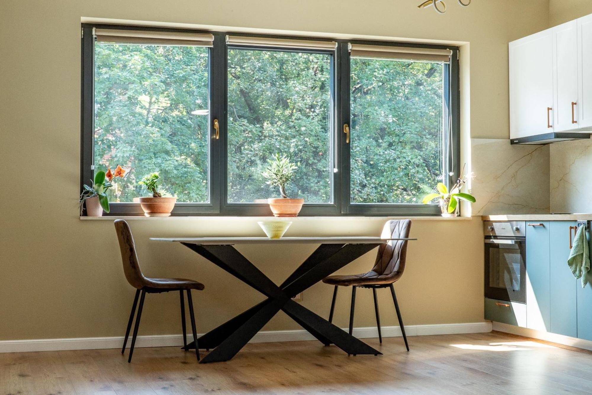 קלוז'-נאפוקה Ophir Apartment Central מראה חיצוני תמונה