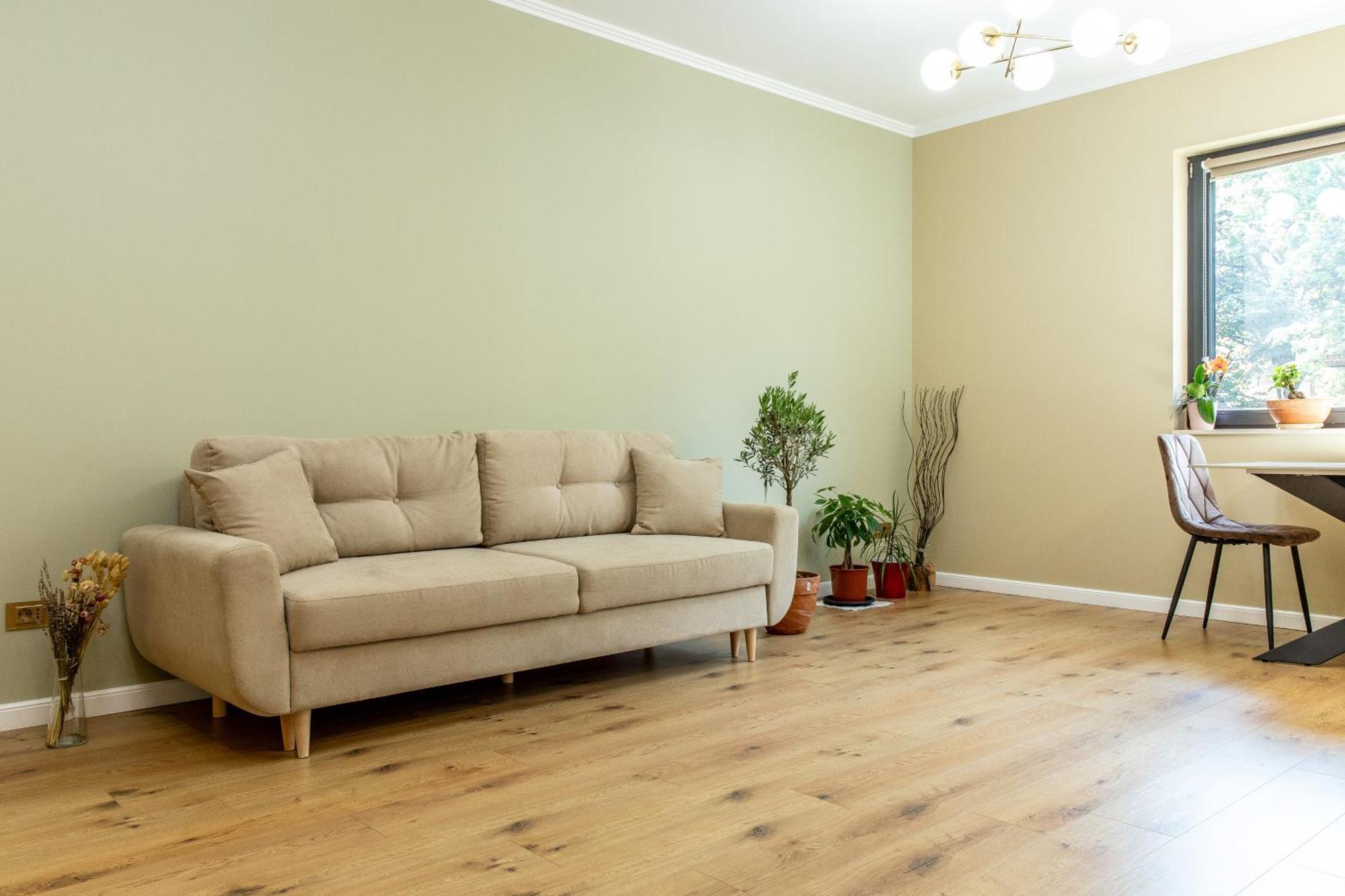 קלוז'-נאפוקה Ophir Apartment Central מראה חיצוני תמונה