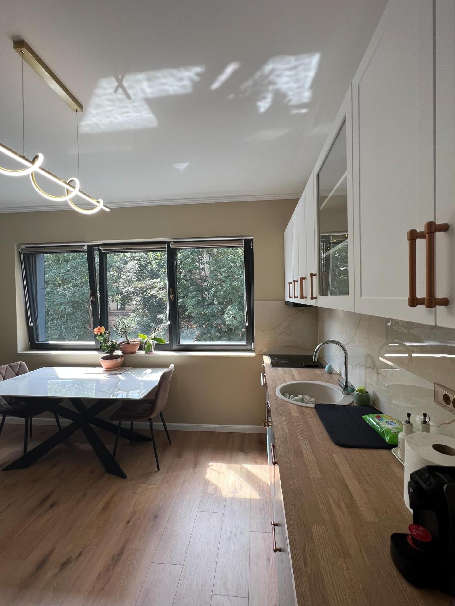 קלוז'-נאפוקה Ophir Apartment Central מראה חיצוני תמונה